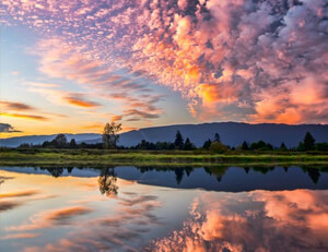 篮球比赛制胜法：意外伤痛使球队变阵