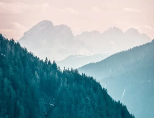 维尔纽斯主场逼平拉脱维亚，出线之路条条大道通罗马